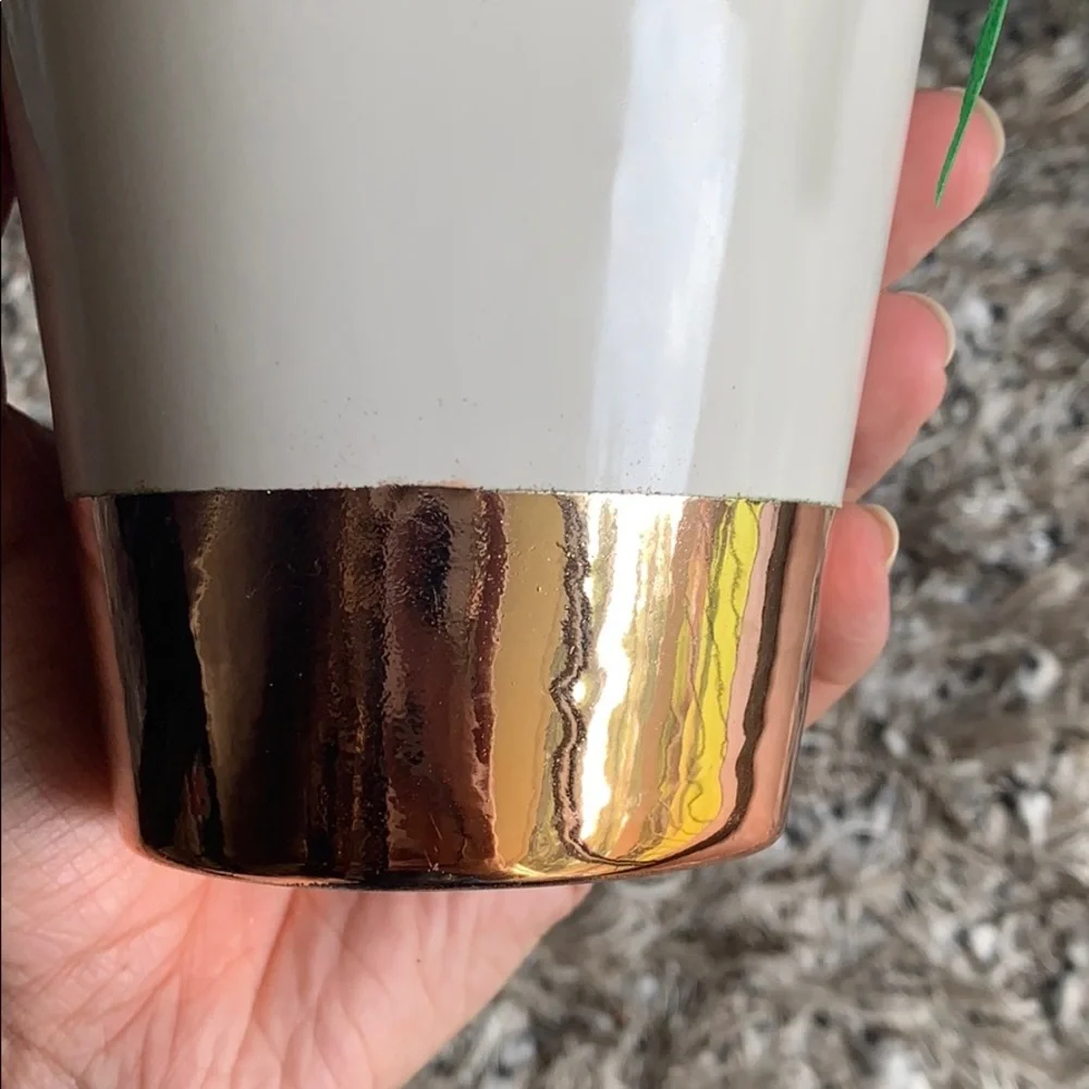 Rose‎ gold Succulent ceramic and metallic plant pot